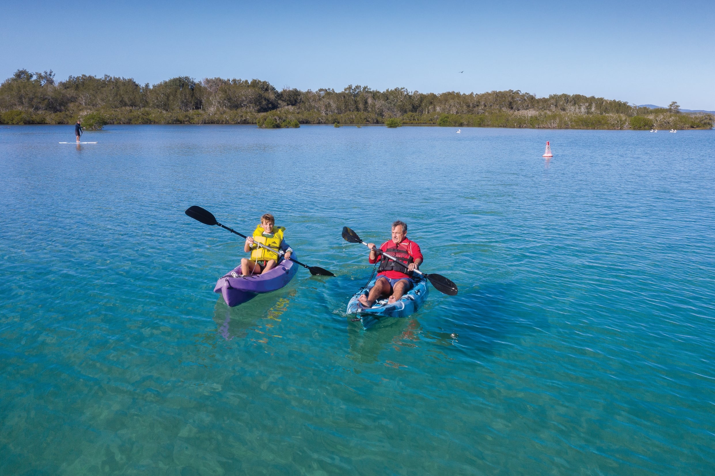 Two kayakers on the Nambucca River